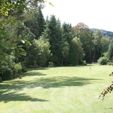 Fewo Roespe Erndtebrück Esterno foto